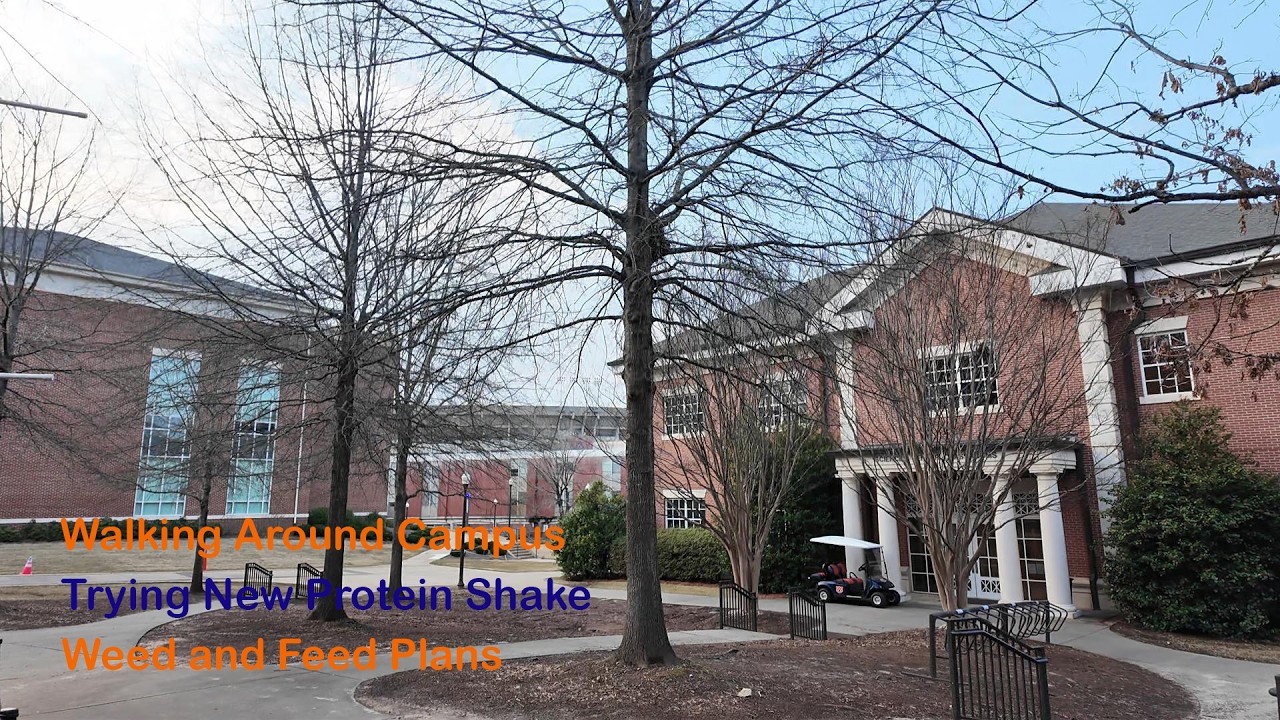 Walking Around Campus, Trying a New Protein Shake, Weed and Feed Plans