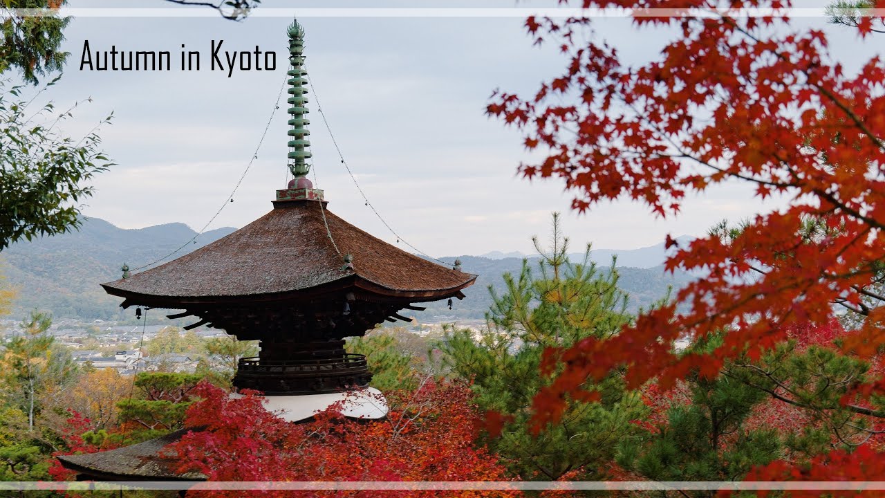 Autumn in and around Kyoto 京都府の秋