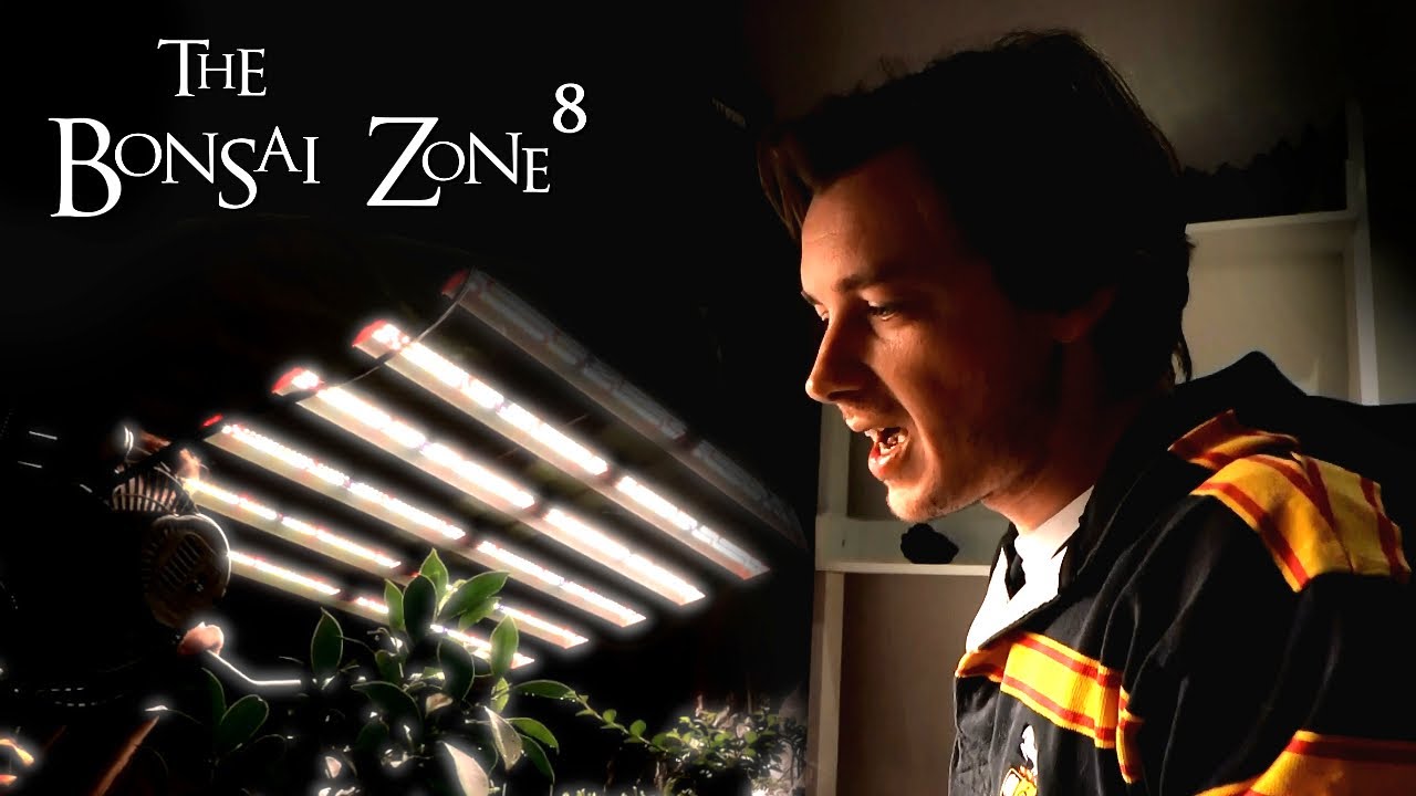 Connor's Ultimate Indoor Tropical Bonsai Setup, Road Trip, Part 2, The Bonsai Zone, Dec 2021