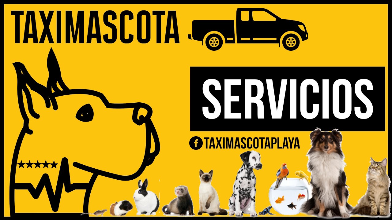 Taximascota Viajes aeropuerto Cancun Tulum viajes especiales redondos  estética canina veterinario
