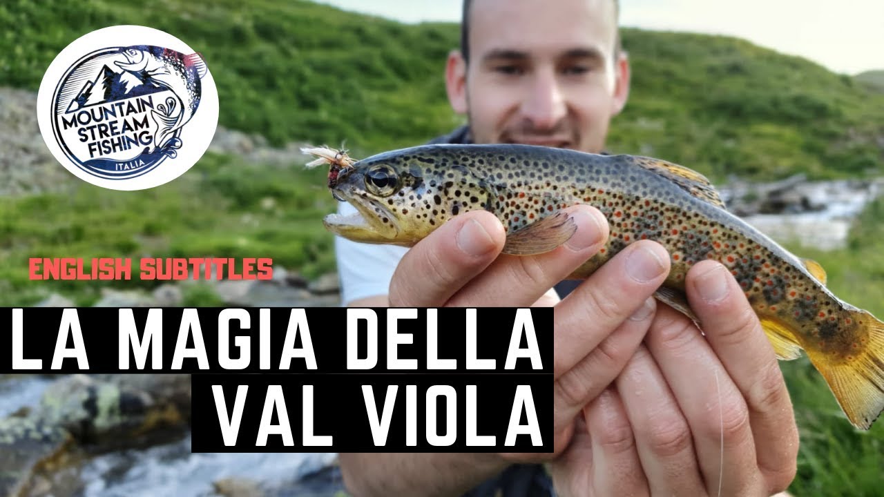 La MAGIA della VAL VIOLA, weekend in LAGO ALPINO- English subtitles