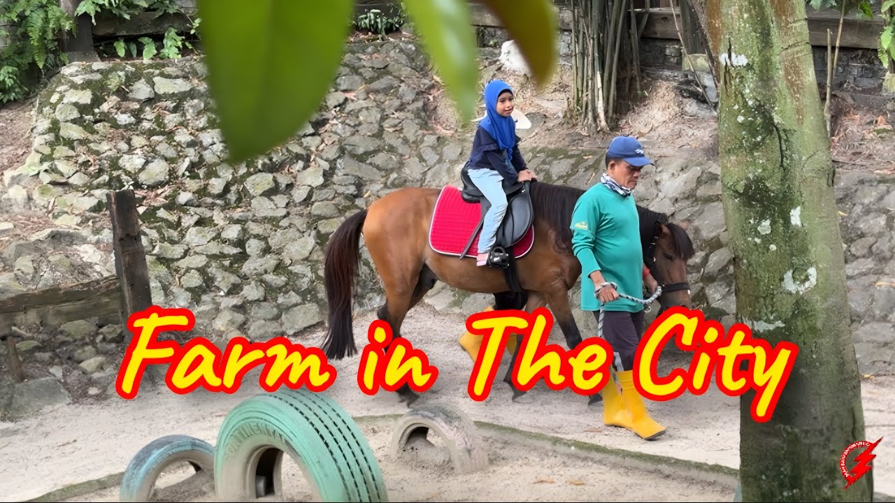 Myfamily Sweet Memory : Farm in The City | Seri Kembangan