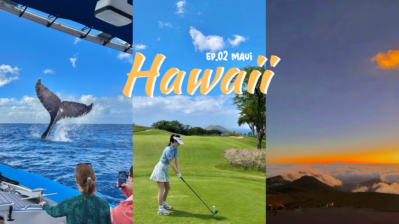 마우이섬에서 깨달은 진짜 하와이의 매력🏝️ | 호놀룰루는 서막이었던 마우이 5일 하와이 여행 ep.02 | 고래투어, 할레아칼라 일출, 마마스피쉬하우스, 와일레아 골프, 거북이비치