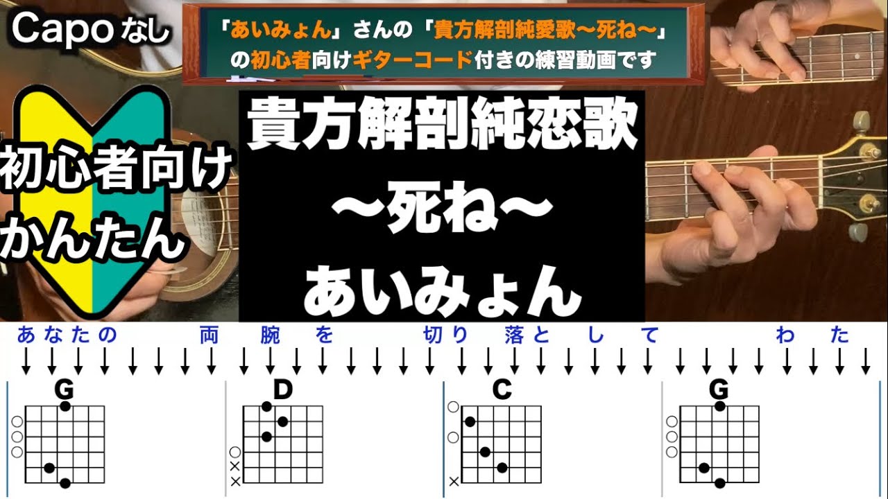 貴方解剖純愛歌〜死ね〜/あいみょん/ギター/コード/弾き語り/初心者向け/簡単