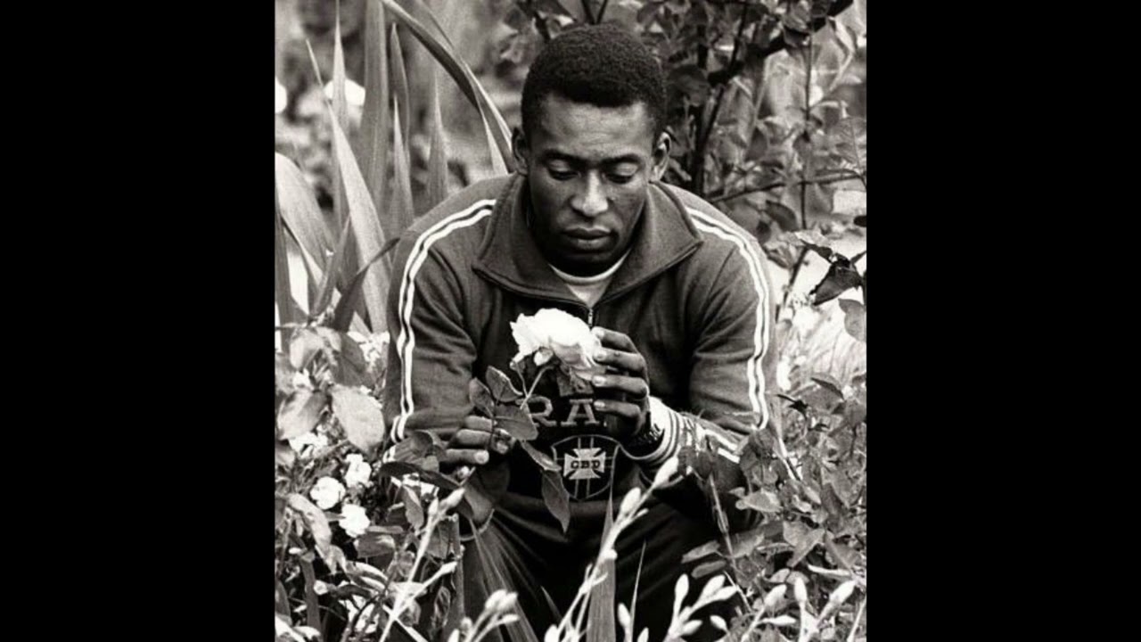 Freddie Gibbs x Alchemist Type Beat 
