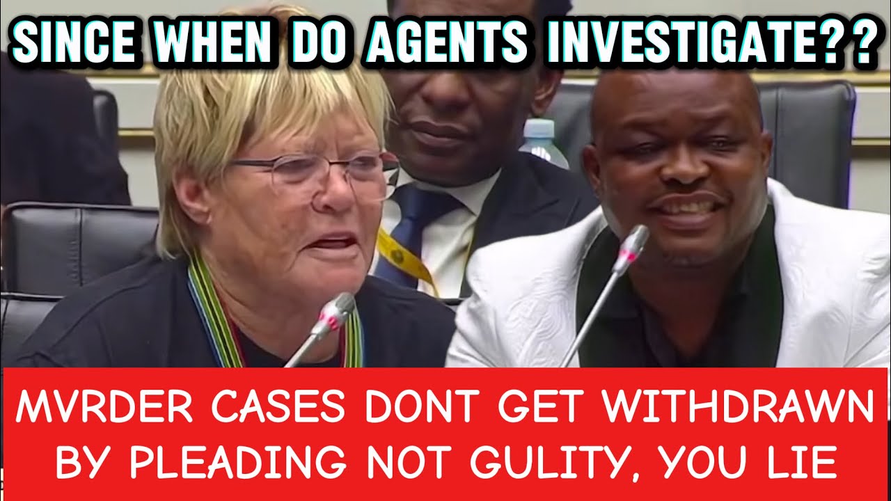 DA BREYTENBACH FIERY CROSS EXAMINE MOKGOTSI - YOU WATCH TOO MANY MOVIES, NO AGENT INVESTIGATES