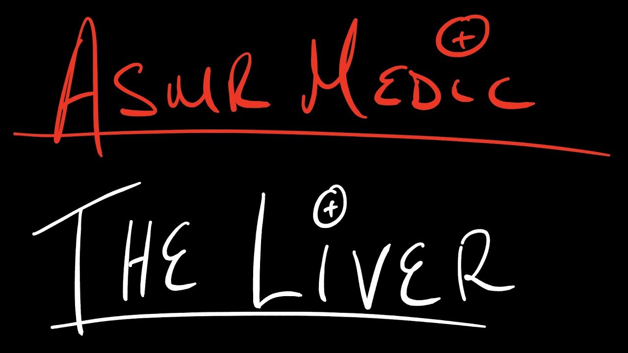 The Liver (Part 1) | Medical Studies ASMR Softly Spoken