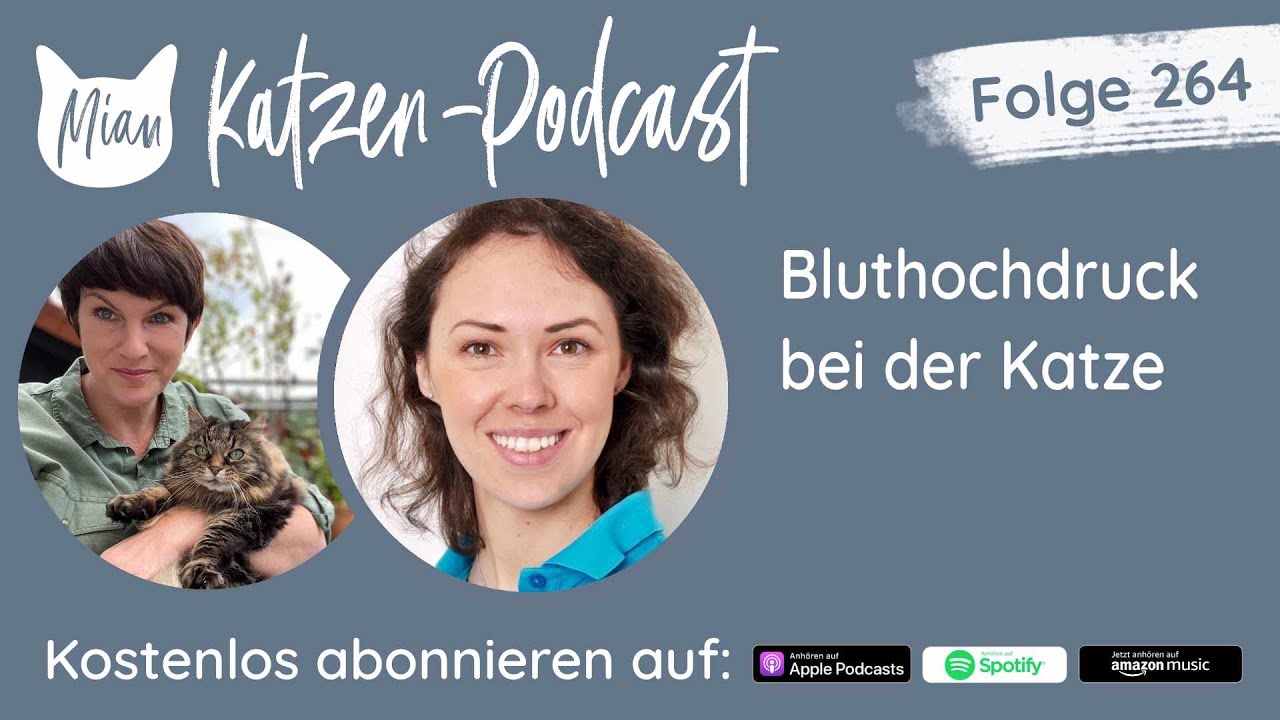 #264 Bluthochdruck bei der Katze  |  Miau Katzen-Podcast
