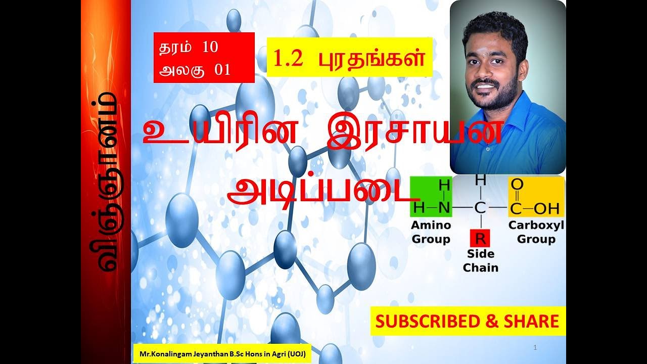 Grade 10 Science 1.2 Protein Tamil medium/உயிரின இரசாயன அடிப்படை -1.2 புரதங்கள்/ K.Jeyanthan