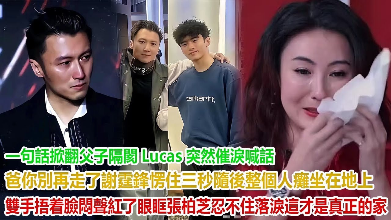 一句話掀翻父子隔閡！Lucas突然催淚喊話“爸，你別再走了…”謝霆鋒愣住三秒，隨後整個人癱坐在地上，雙手捂着臉悶聲紅了眼眶！張柏芝忍不住落淚：這才是真正的家！