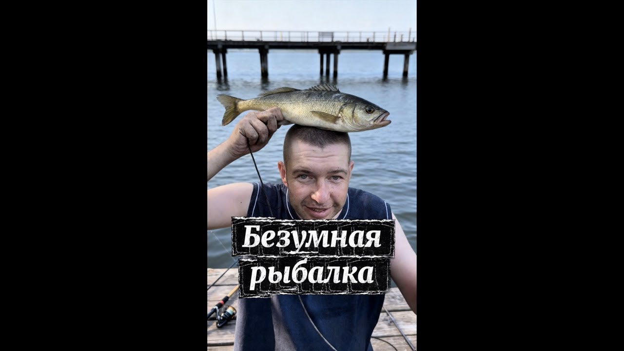 Погнали / на пятнистого сазана 👈🏼