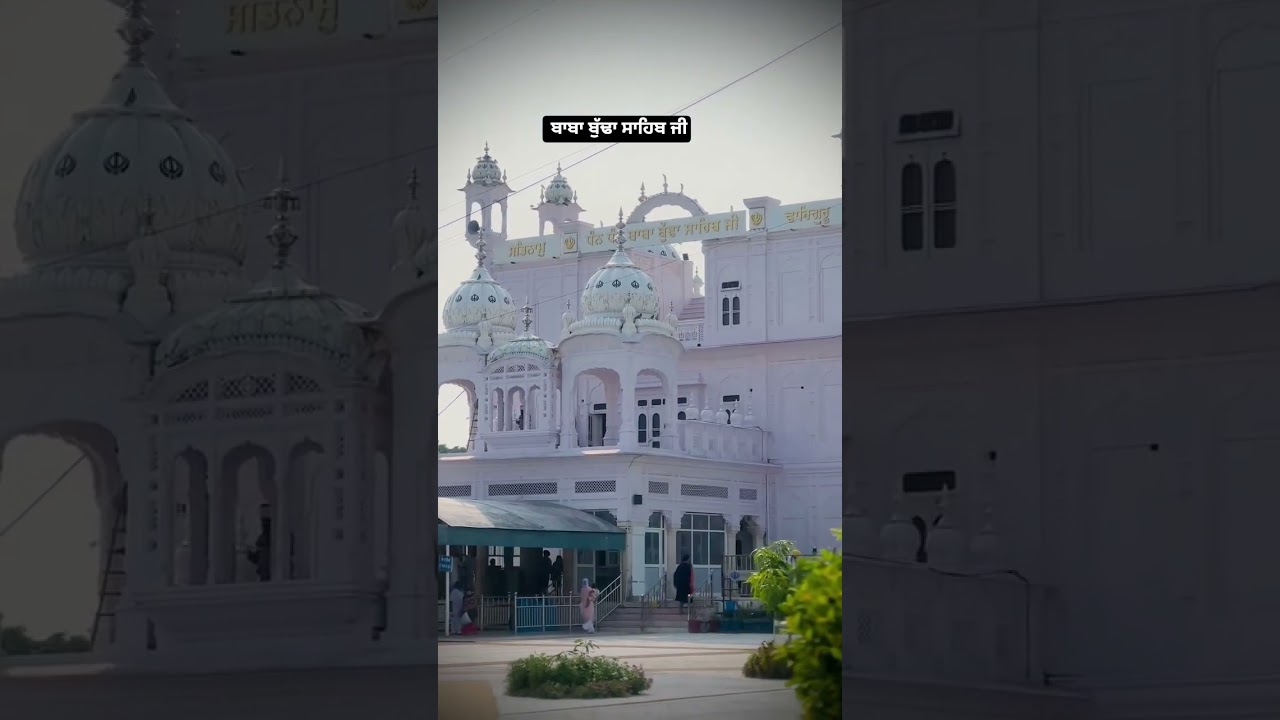 ਬ੍ਰਹਮ ਗਿਆਨੀ ਬਾਬਾ ਬੁੱਢਾ ਸਾਹਿਬ ਜੀ #shortvideo #shabad #trending #viral