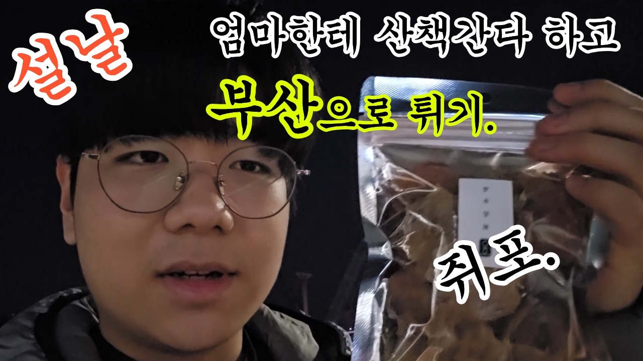 엄마한테 산책간다 하고 부산으로 튀기