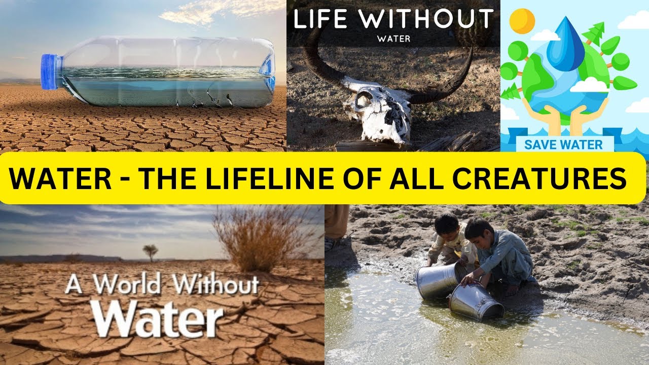 WATER- The Lifeline of All Creatures #water #lifeline #creatures #nowater