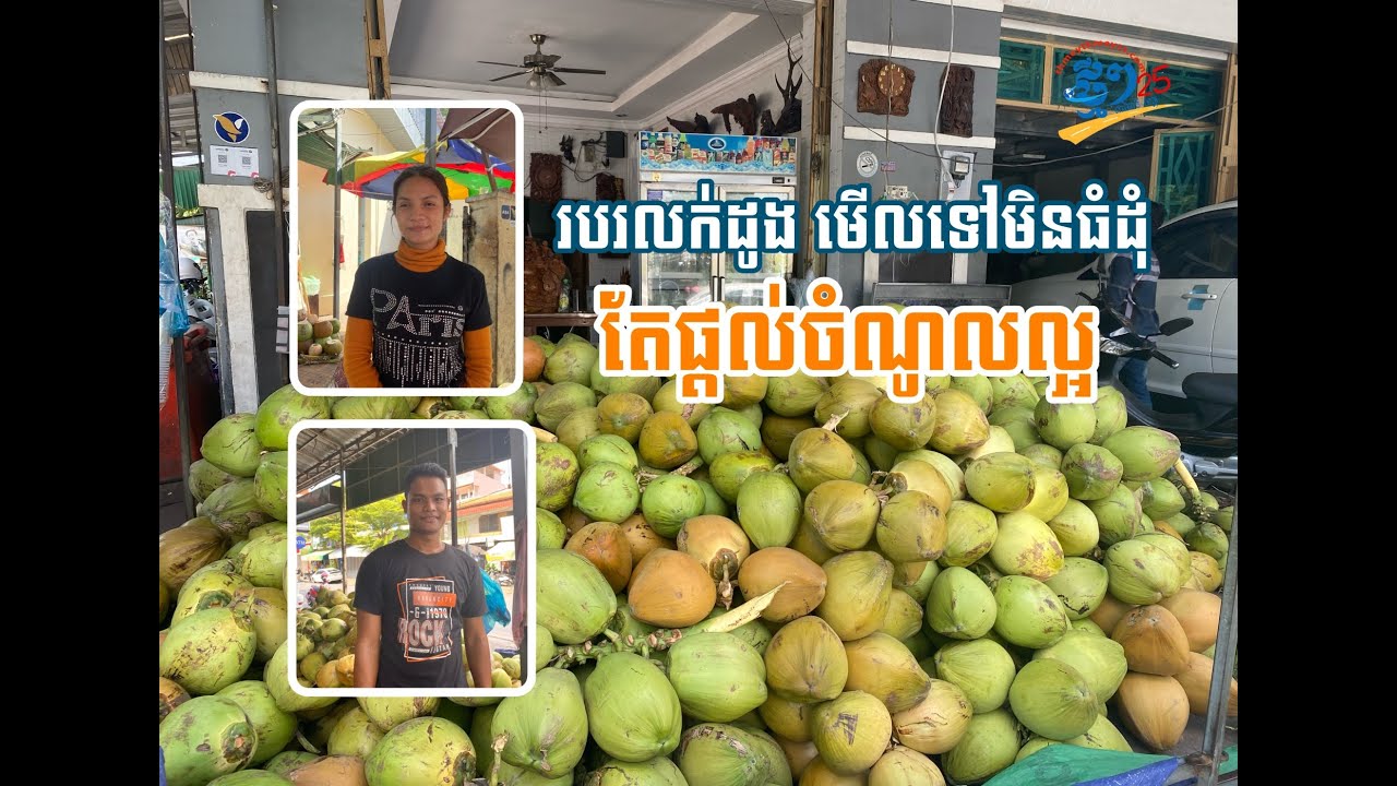 របរលក់ដូង មើលទៅមិនធំដុំ តែផ្ដល់ចំណូលល្អ | thmeythmey