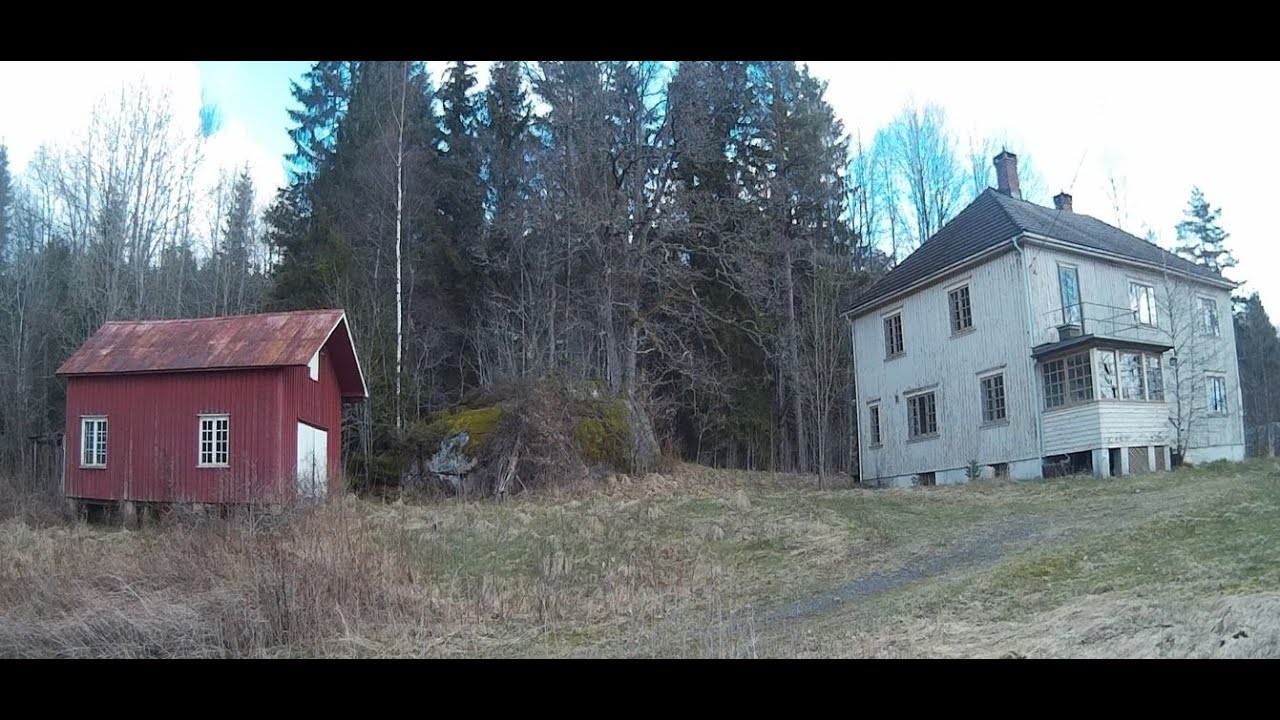 Abandoned House in the forest