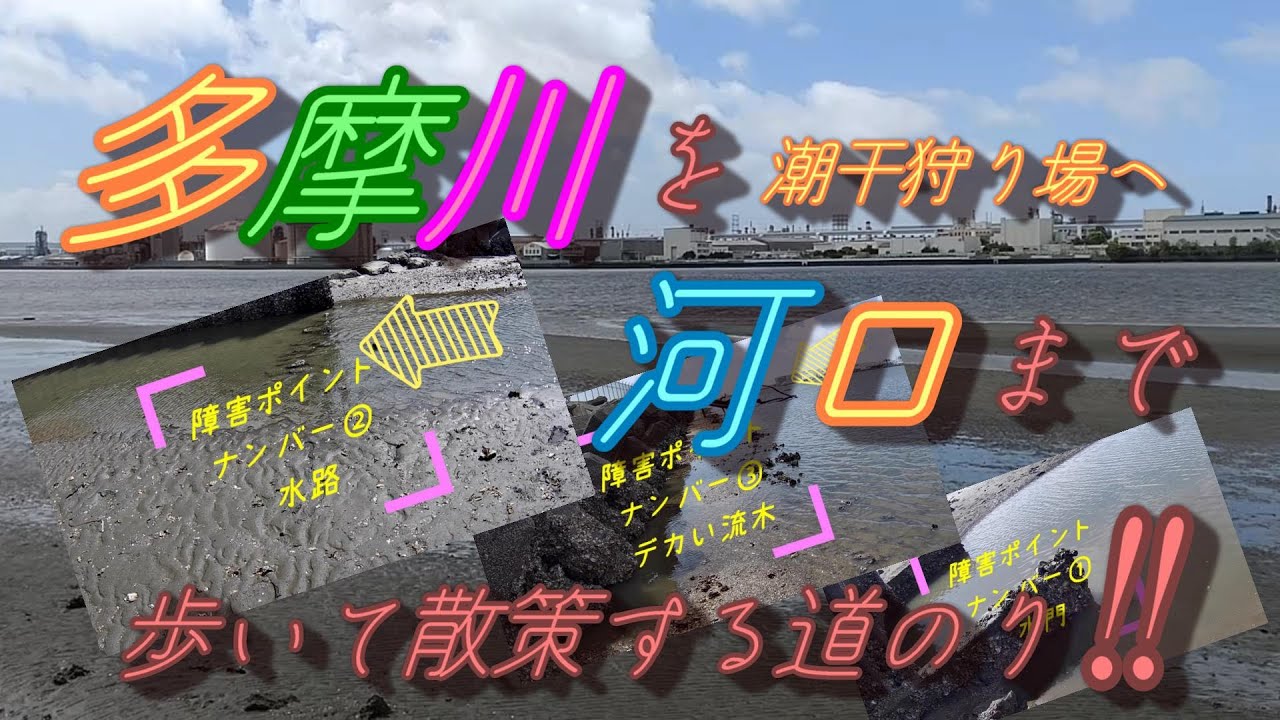 多摩川河口【潮干狩り場】まで歩いて散策する道のりです
