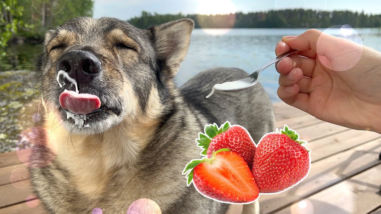MAXI MAISTELEE HERKKUJA😋