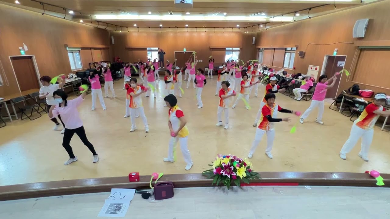 寶島曼波/柔樂球 114台灣柔樂球運動協會丙級考照講習會