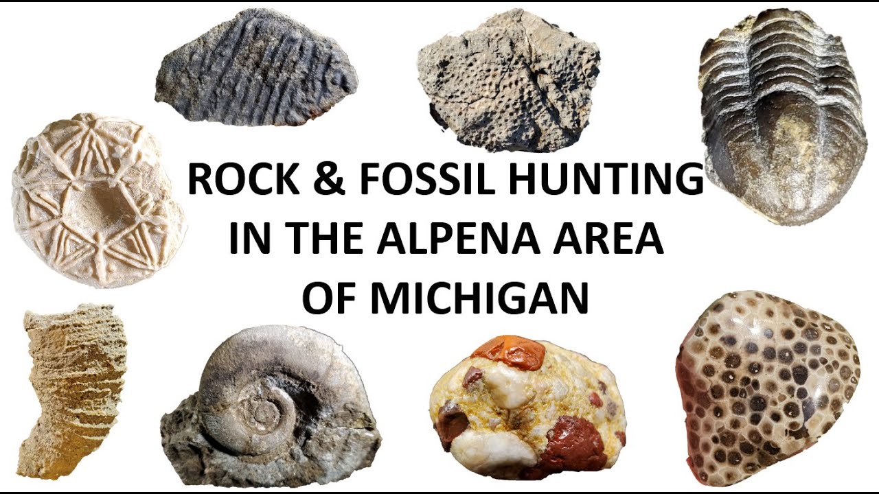 Rock and Fossil Hunting the Alpena area of Michigan