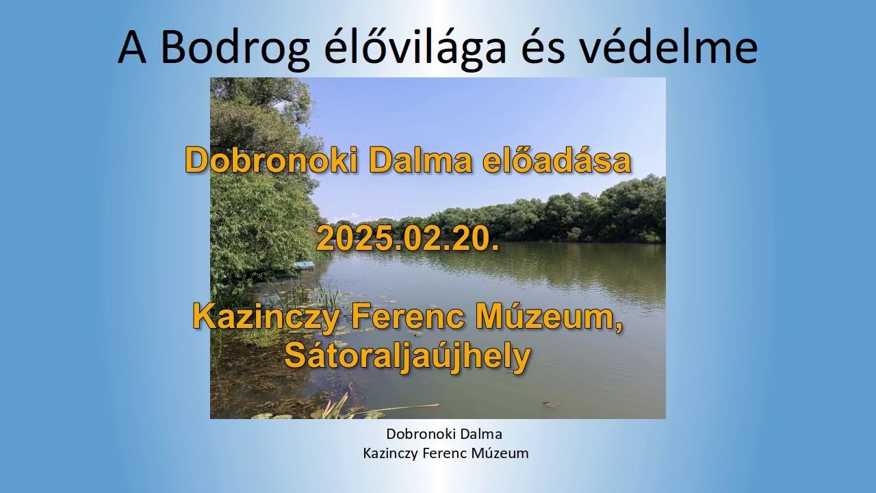 A Bodrog élővilága és védelme - Dr. Dobronoki Dalma előadása, 2025.02.20.