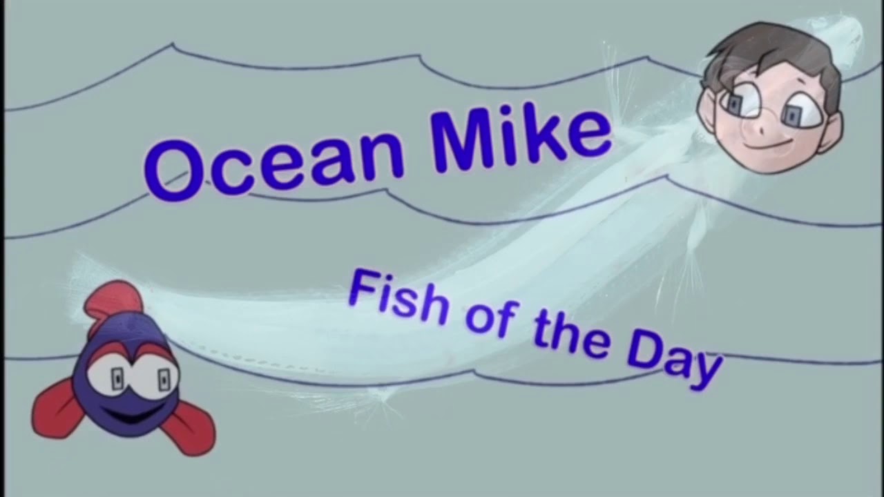 FISH OF THE DAY EPISODE 99!!! The Brown Snout Spookfish!!! The Halloween Special!!