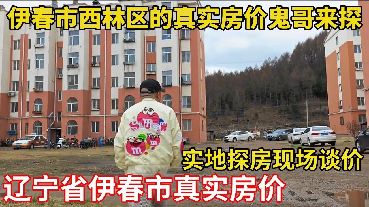 跟着鬼哥看真实房价！黑龙江伊春西林区实地探房，谈价过程全程纪实【鬼头看房】