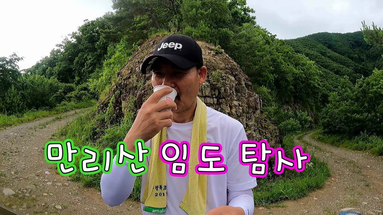 다래가 지천인 만리산 임도 탐사 여행// 노지 차박캠핑!!