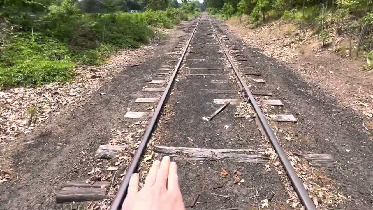 Golf Ball Hunting at a Bridge *Awesome Idea*