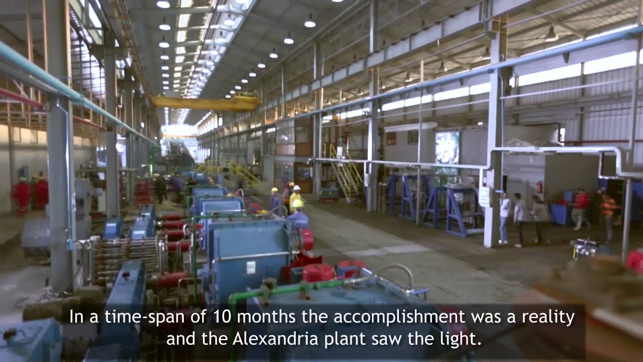Success Story of Egyptian Steel Plant in Alexandria