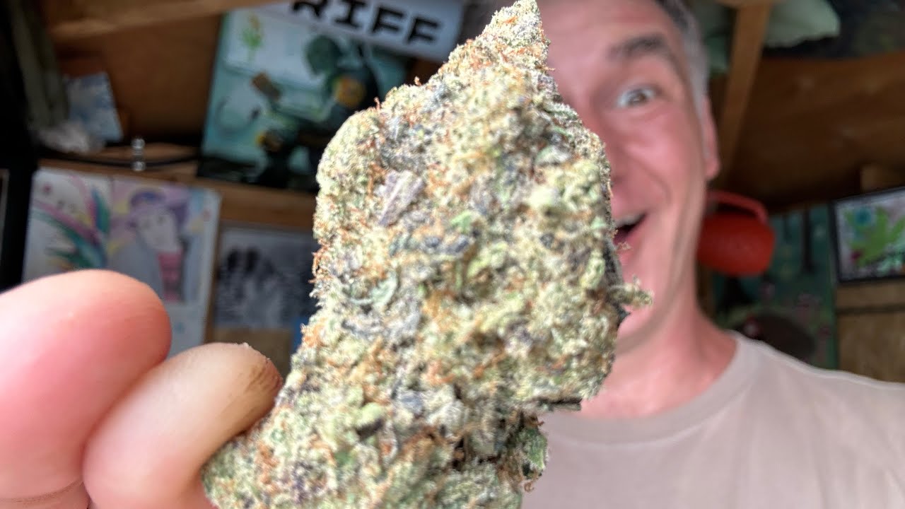 2024 07 05 The Shed! with Gold tipped Blunts and Eastcann 28g Choppers Pick Mac-1