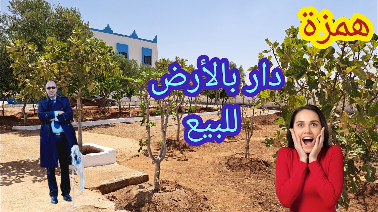 همزة دار بالأرض للبيع واعرة وكلها أشجار اجي تشوف الرخا والمفاجأة الكبيرة ولمشرى يتنزه وقل كيجاتكم 
