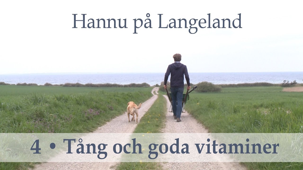 4 - Tång och goda vitaminer