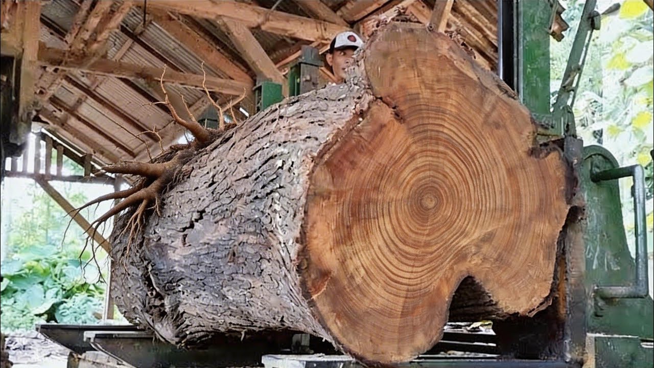 Surprising fact!! This hardest wood actually contains herbal medicine