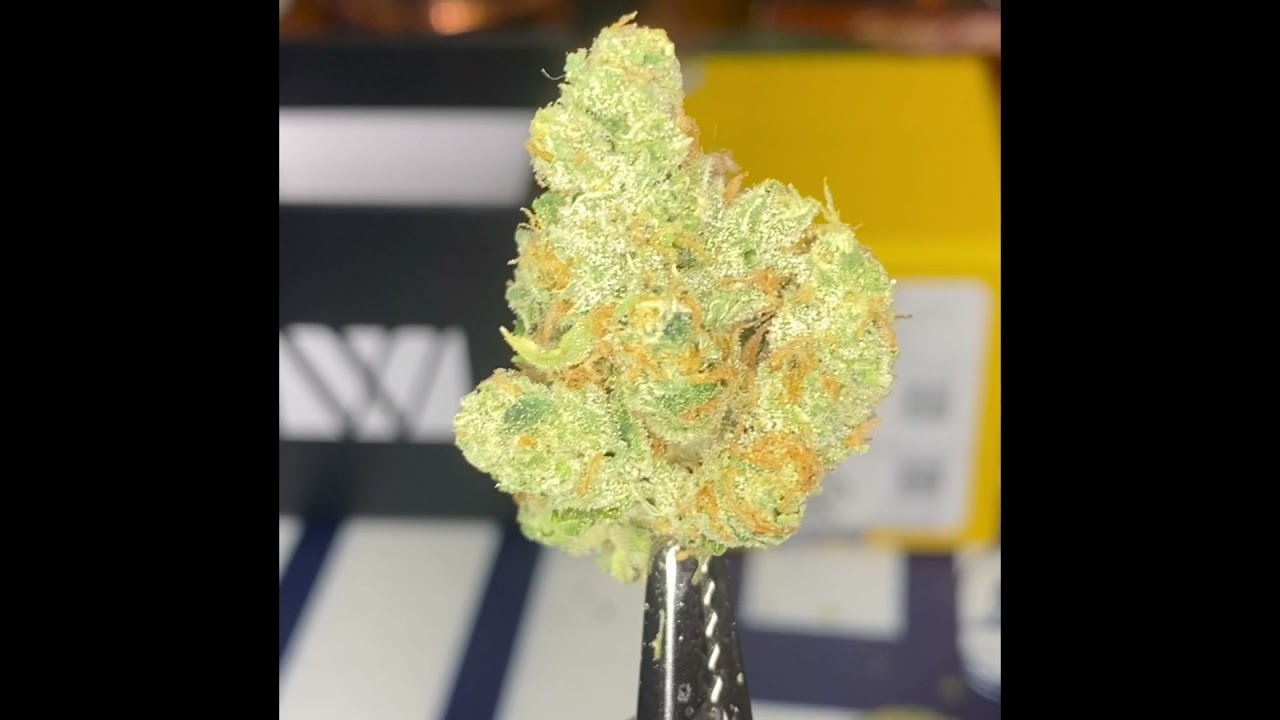 Pineapple OG WONDERBRETT IG: cali_bud_reviews