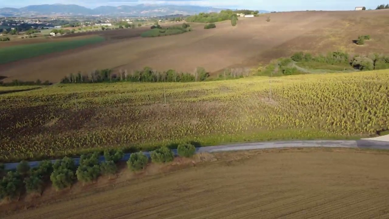 Flying To Marche OsteriaDeiSegreti, Paradise🥰😘