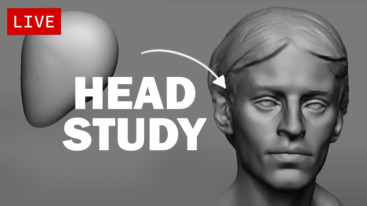 [LIVE] - Head Study and Q&A