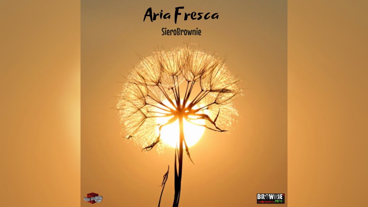 SieroBrownie- Aria Fresca