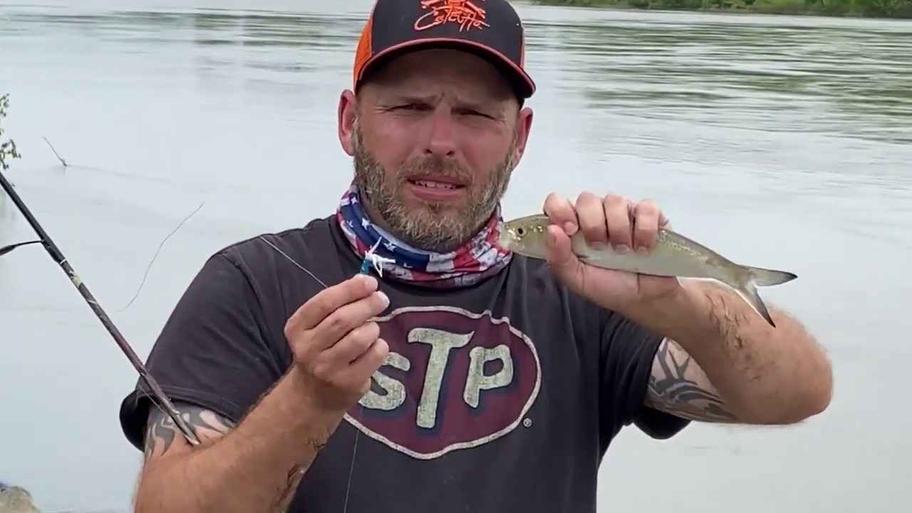 how to catch skipjack from the bank