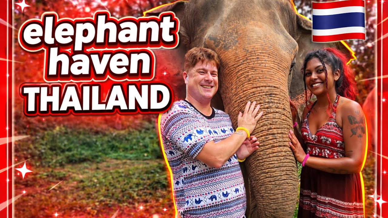 A Day at Elephant Haven Thailand 🇹🇭 | Up Close With Gentle Giants