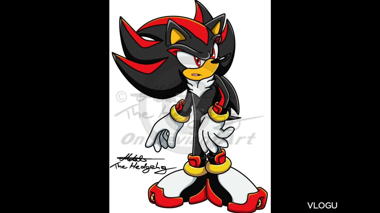 shadow the hedgehog queen of mean