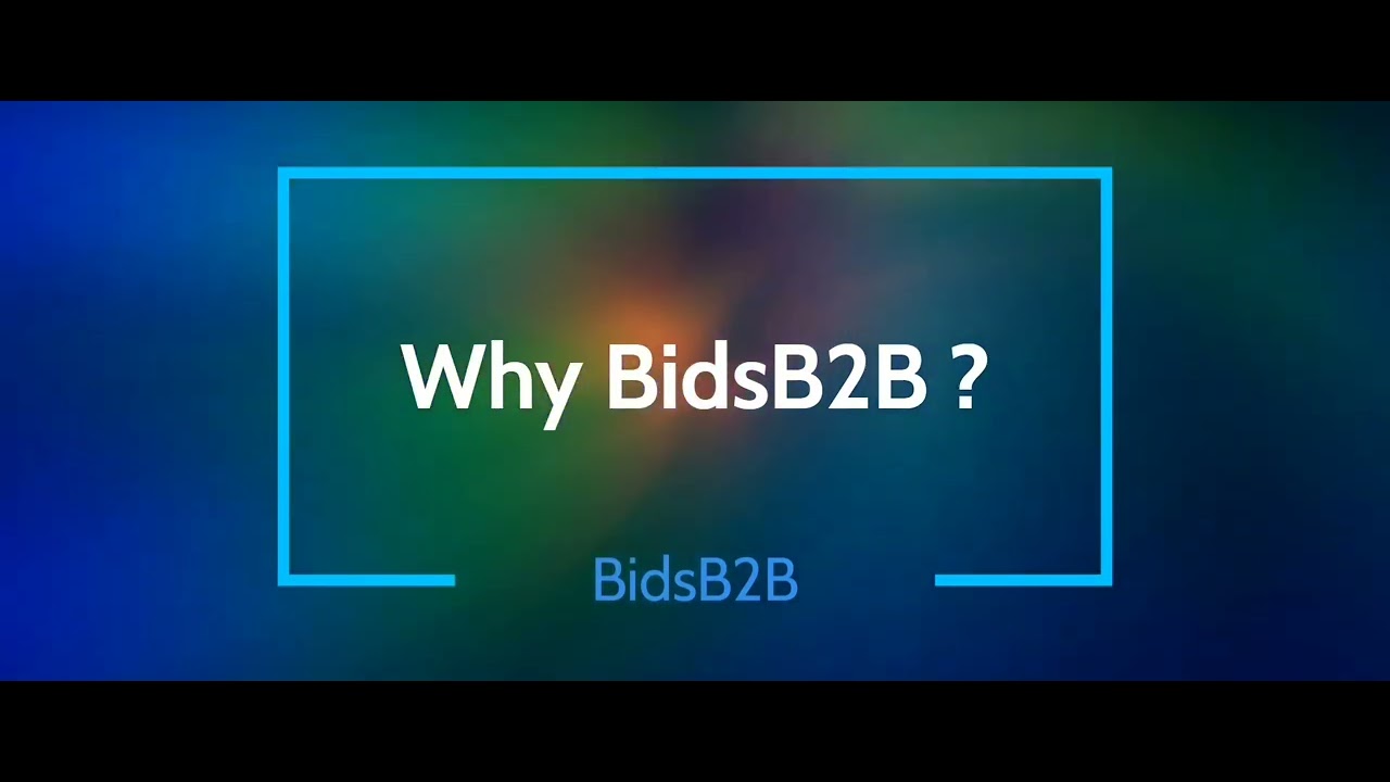 Why BidsB2B ?