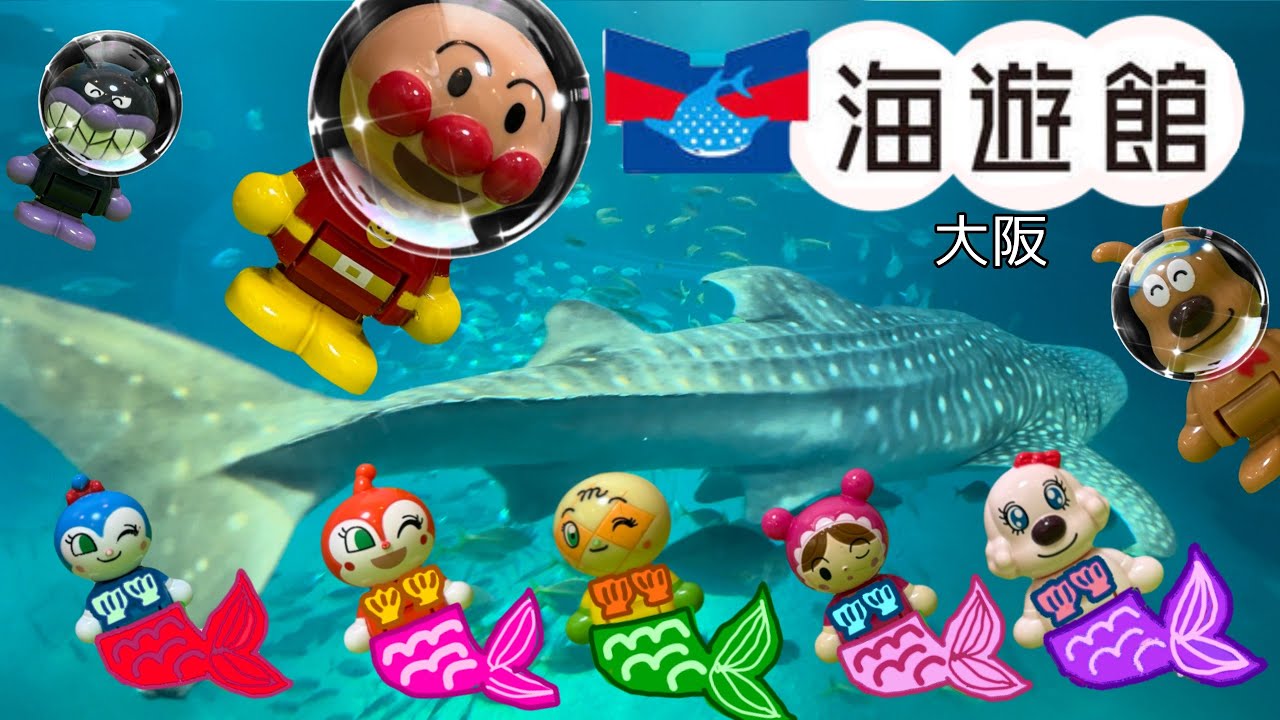 海遊館(大阪)【おでかけ知育シリーズ4】アンパンマンと水族館にでかけよう！でっかいジンベイザメ！イルカ！