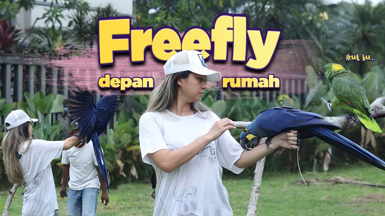 Sasha Freefly?! Rajah Manja
