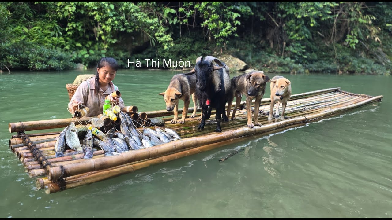 Vietnamese girl cooks for dogs, goats and goes fishing - ha thi muon