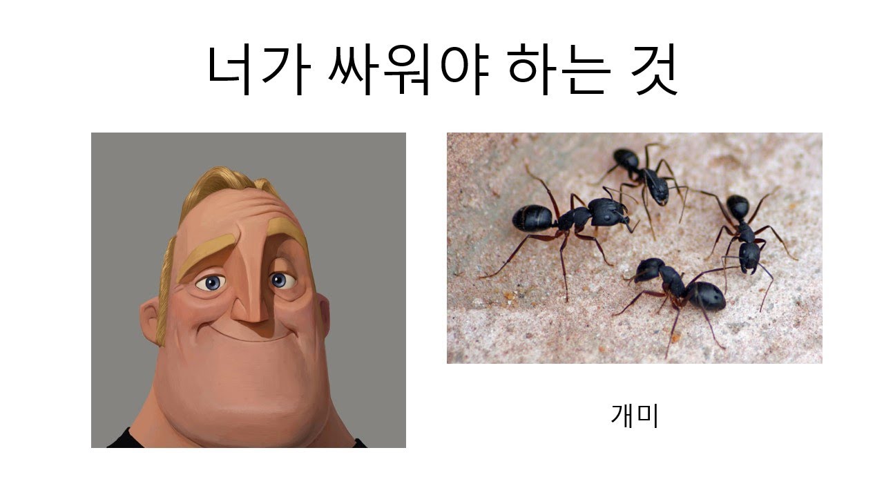 인크레더블 밈(너가 싸워야 하는 것)