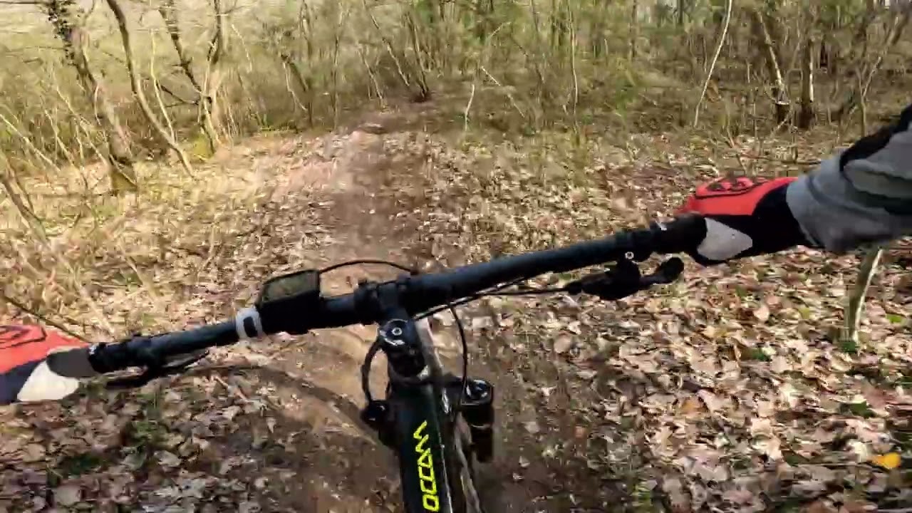 Covid Trail,Monte Mauro (Riolo Terme RA)