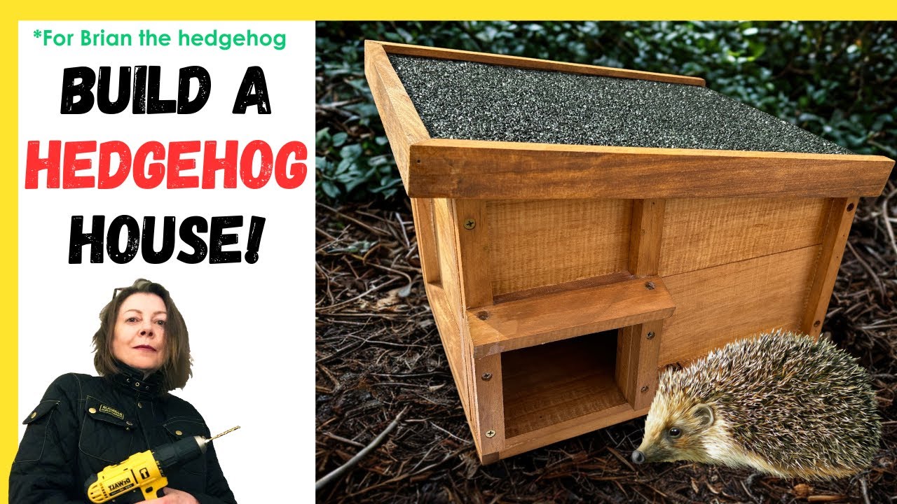 Easy! DIY hedgehog house for nesting and hibernation