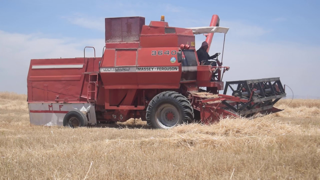 قضاء تلكيف حصاد بعدسه فائز العلاوي