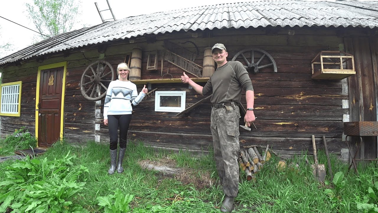 КУПИЛИ ХУТОР в ЛЕСУ на КРАЮ БОЛОТА. №126. ПЕРЕШЛИ на ПОДНОЖНЫЙ КОРМ.